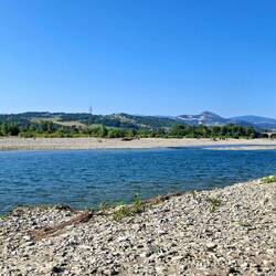 De Taro lijkt nog goed gevuld.