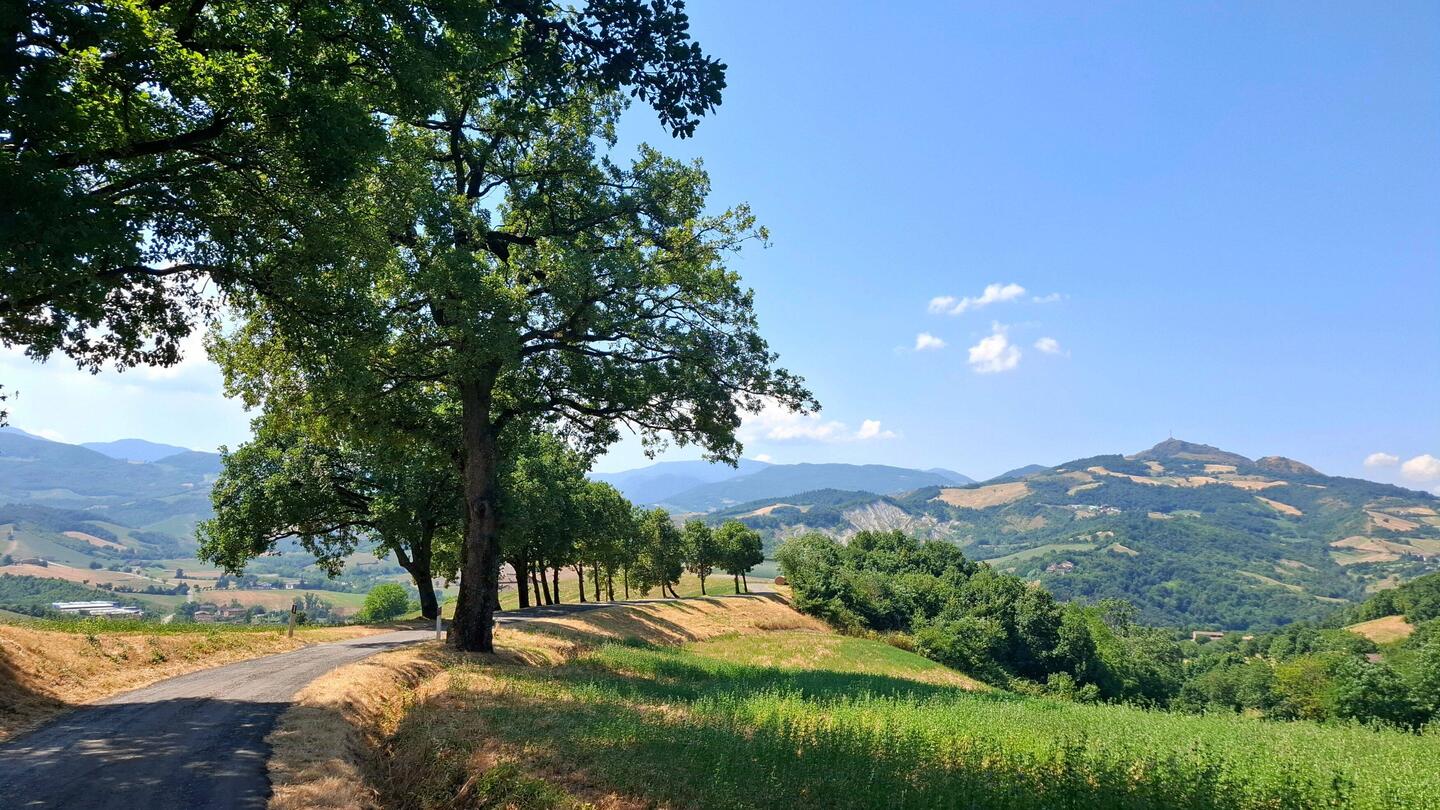 Wat... een .... pracht.