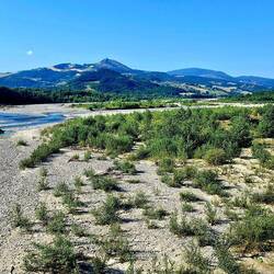 De indrukwekkende bedding van de Taro