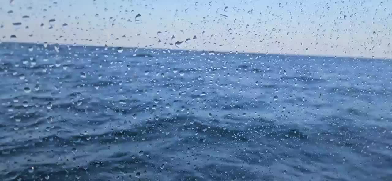 It finally calmed down a lot...enough to take video!