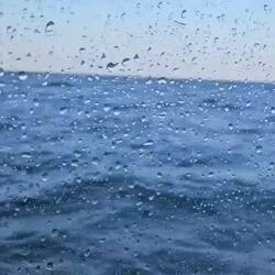 It finally calmed down a lot...enough to take video!