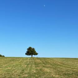 Walking around a lake..one tree hill