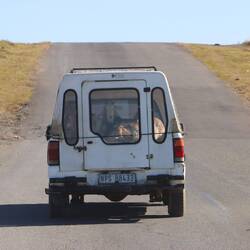 ...Ziegen wieder im Kofferraum...