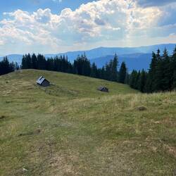 Tolle Wiesen und Weiden (ohne Hunde 😊)
