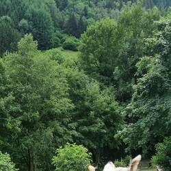 Spielen mit Ludmilla