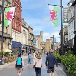 Video of Cardiff's downtown