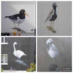 StreetArt in Flateyri