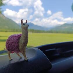 Der schattige Picknickplatz mit...