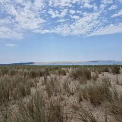 Im Hintergrund die Dune du Pilat