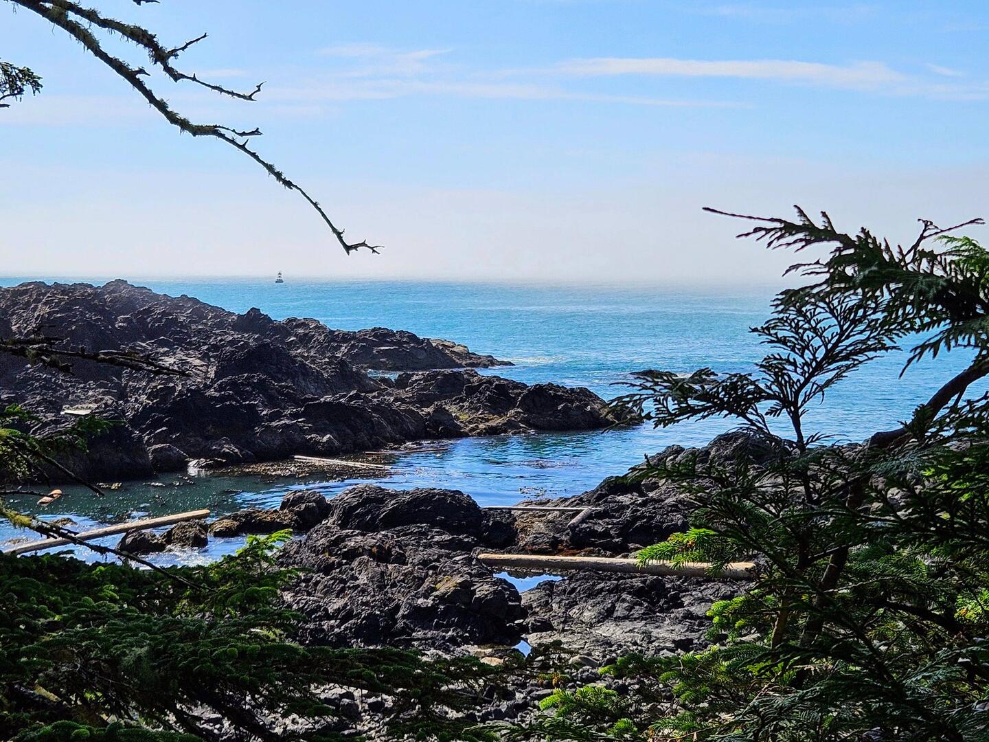 Wild Pacific Trail - notice the blue sky