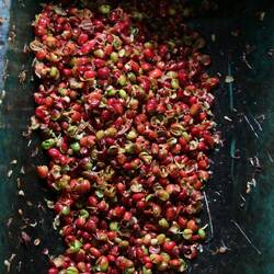 Entferntes Fruchtfleisch