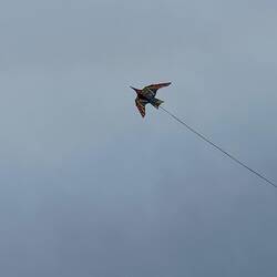 This kite appears to be the largest and highest.