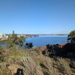 Kings park - Perth