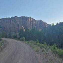 Zum Glück auch wieder waldig, besonders schön im morgendlichen Licht