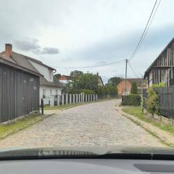 "Dorfi" for life 🤩🧬😍