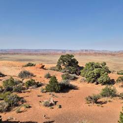 Der Blick wird immer wieder in die Ferne gezogen