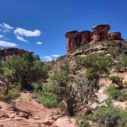 Die Wanderung brachte uns mitten rein in diese besondere Natur