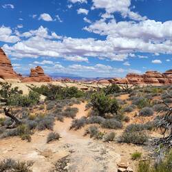 Die Formen und Farben wurden nicht langweilig