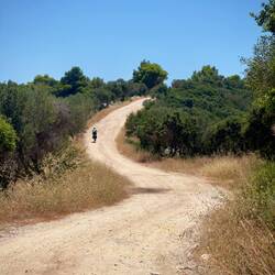 Nur noch den Hügel rauf