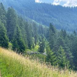 Schöner Weg am Hang entlang