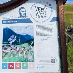 Interessanter Vitalweg
