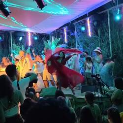 Kolibrifacette 3: Tanz