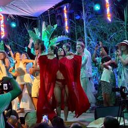 Kolibrifacette 4: Tanz