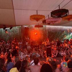 Kolibrifacette 2: Tanz