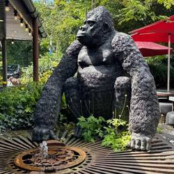 SAVE the Gorilllas! His name is Kazie.
