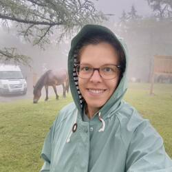 Und eh man sich's versieht, steht man mit Regenjacke inmitten von 🐎🐎