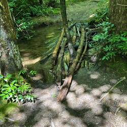 Stream we crossed over