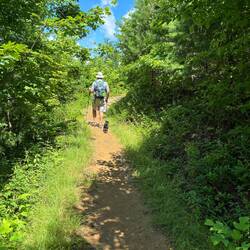 Beginning of the Baskins Fall trail