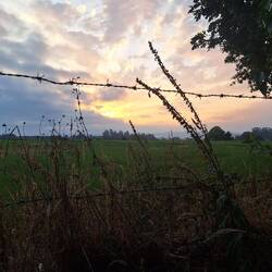 I'm gonna miss the early morning skies