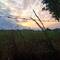I'm gonna miss the early morning skies