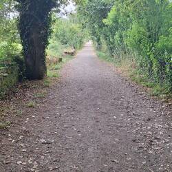 Galicia is so beautiful to walk through
