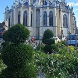 Kathedrale Saint-Cyr-et-Sainte-Julitte