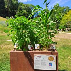 Es spannends Projekt wo zeigt weles Menu wieviu Agrarflächi verbrucht