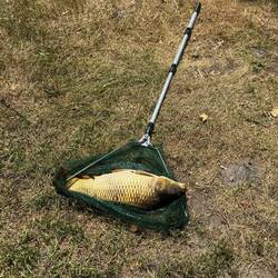 Er wird nur kurz bewundert und dann freigelassen. 😳 Naja?! Das soll ein Sport sein?! Der arme Fisch.