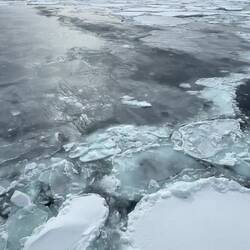 Afternoon ship's cruise — eastern Weddell Sea, Antarctica.