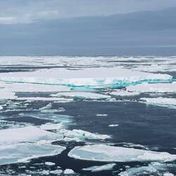 Afternoon ship's cruise — eastern Weddell Sea, Antarctica.