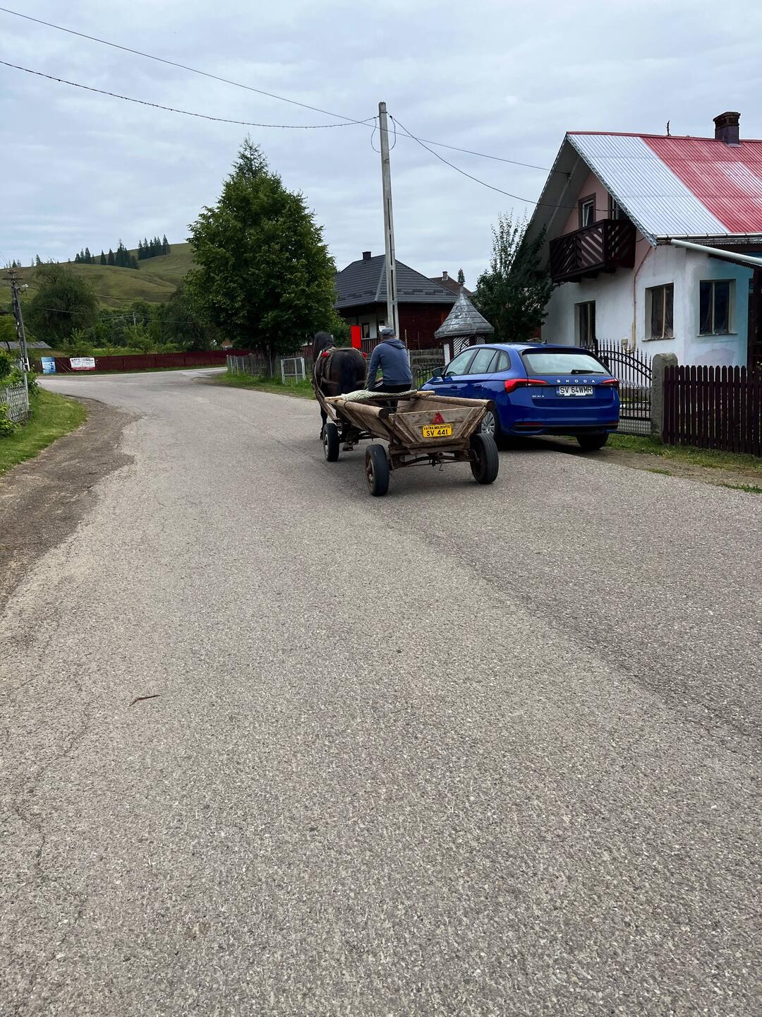Pferdewagen haben auch ein Kennzeichen.