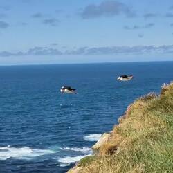 Ganz schön windig heute 😂