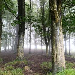 Was ist das dahinter für ein Leuchten?