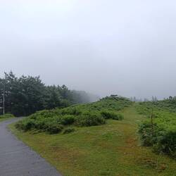 Der Weg