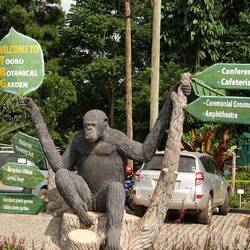 im botanischen Garten von Fort Portal