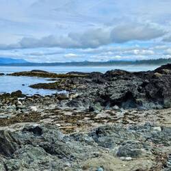 Coastal views