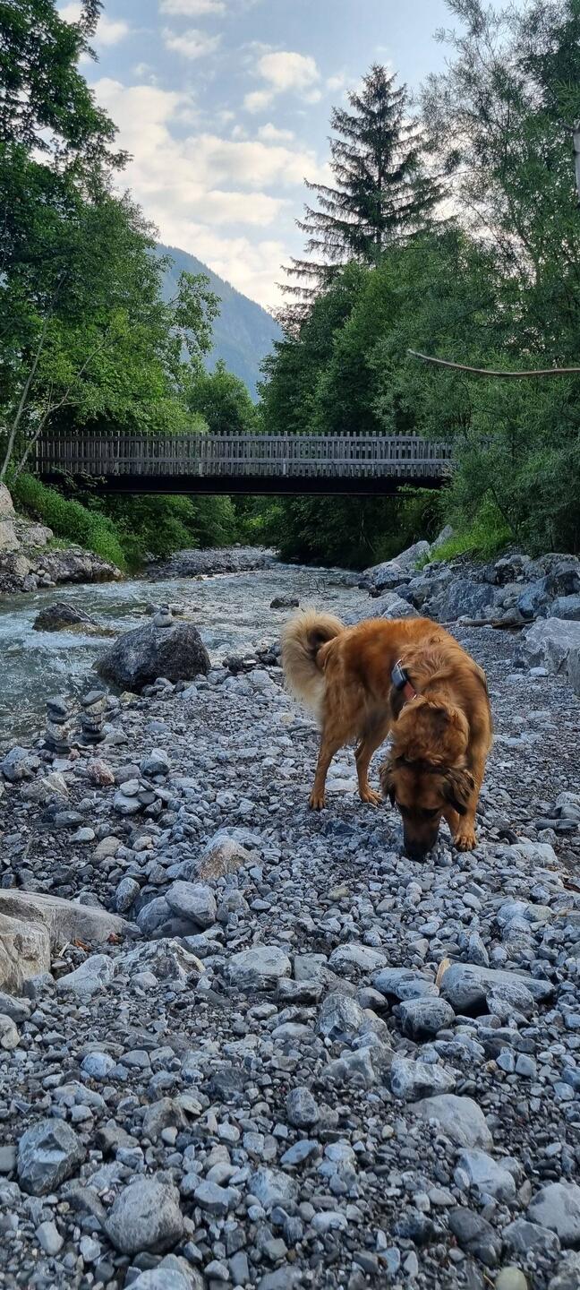 Ein letztes Mal am Fluss spielen