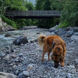 Ein letztes Mal am Fluss spielen