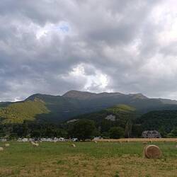 In der Mitte bei dem großen 🌳 steht Kurt 🦙