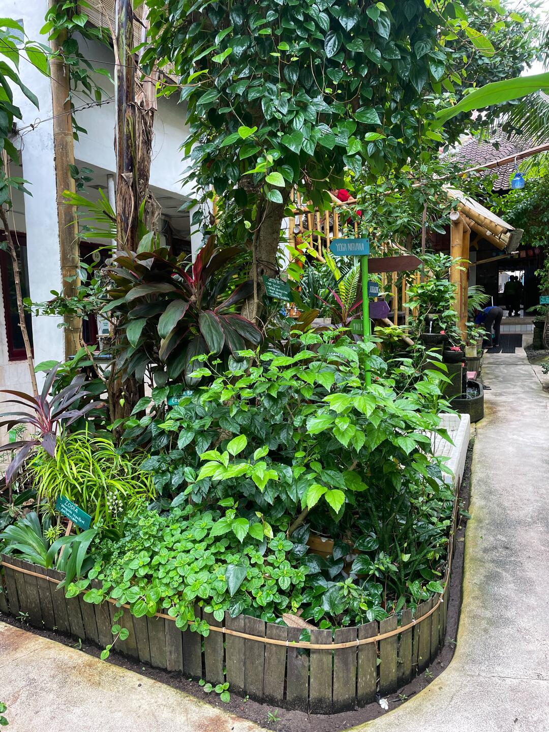 Eco resort